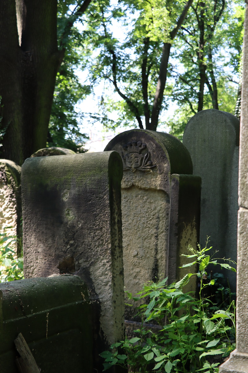 jewish cemeteries Kraków at Miodowa Street