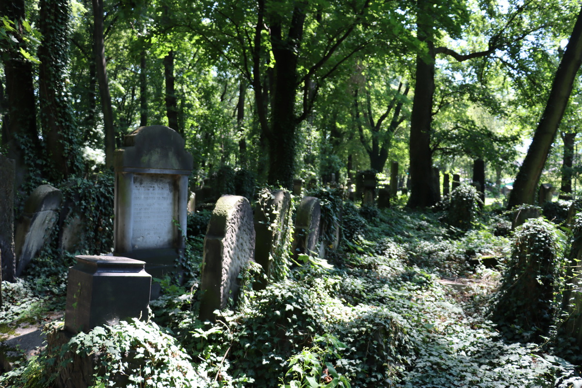 jewish cemeteries Kraków at Miodowa Street