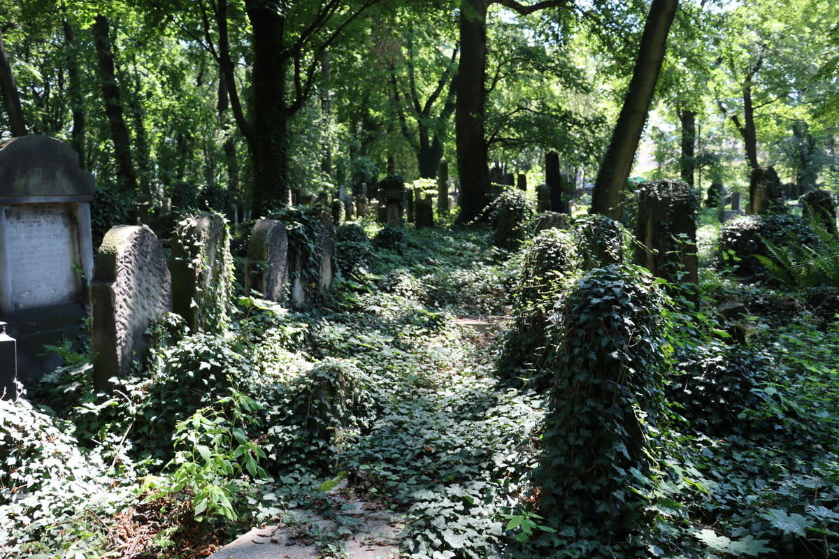 jewish cemeteries Kraków at Miodowa Street
