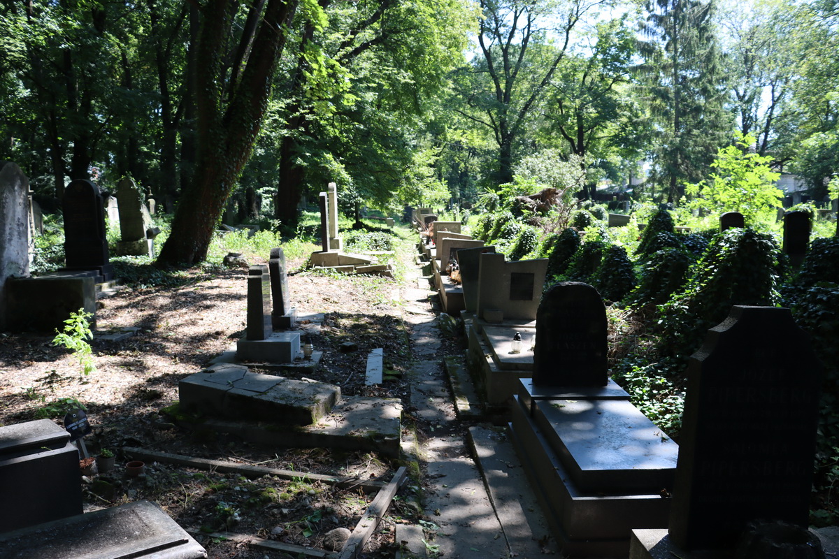 jewish cemeteries Kraków at Miodowa Street