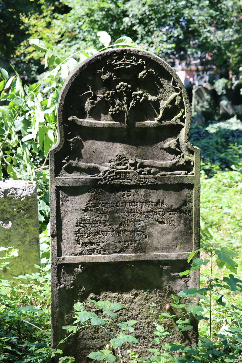 jewish cemeteries Kraków at Miodowa Street