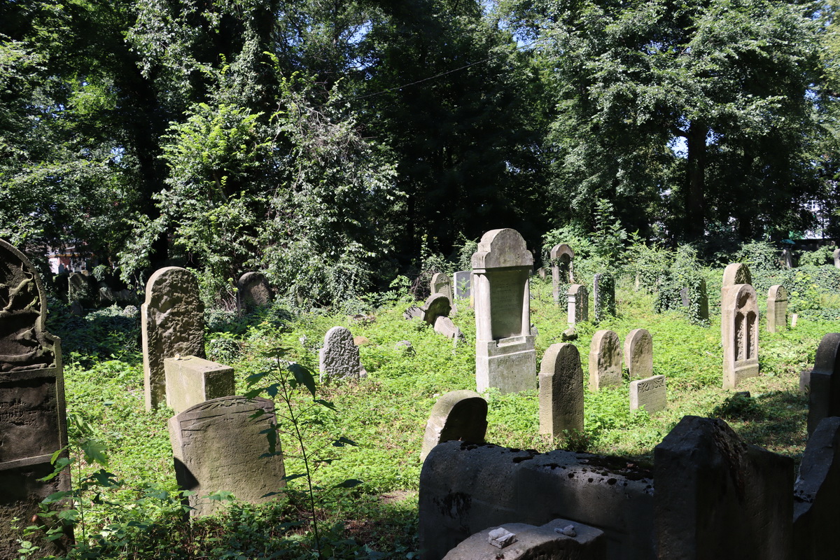 jewish cemeteries Kraków at Miodowa Street